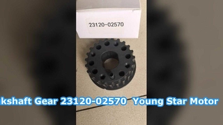 هيونداي جيتز العمود المرفقي ضرس الحزام والعتاد 23120-02570 محرك نجمة الشباب